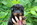 Beauceron perouet